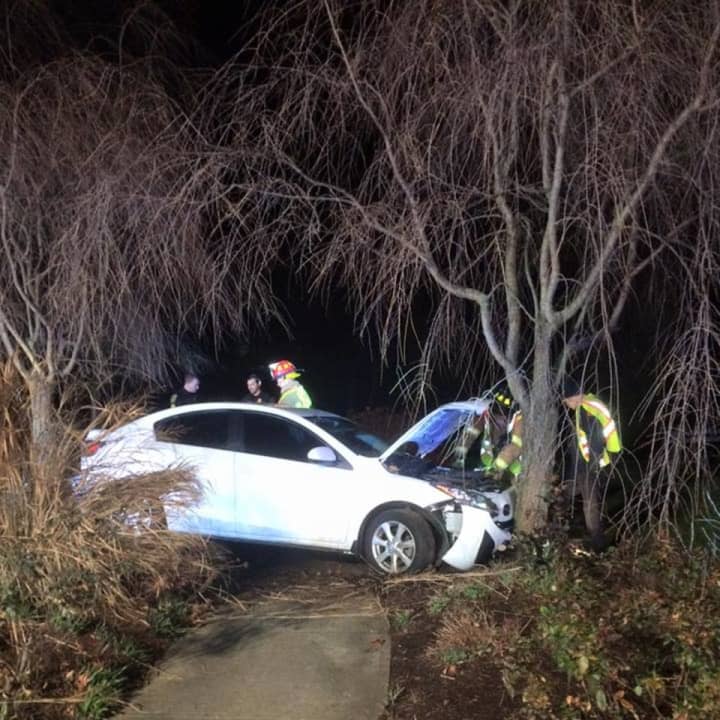 A one-car accident occurred early Saturday morning on White Plains Road in Trumbull after the vehicle crashed into a tree. 