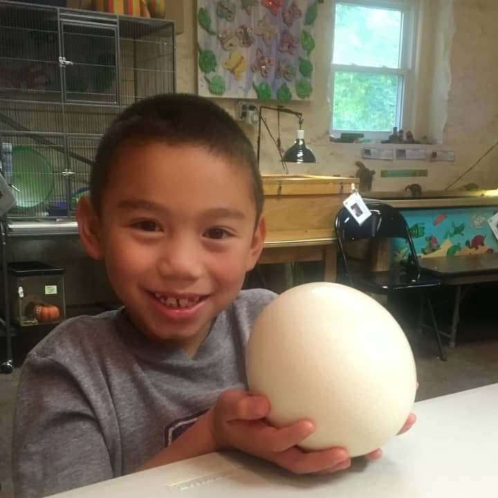 Second-grader from the Scarsdale School District enjoying his visit to the Weinberg Nature Center.