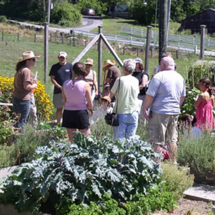 Hilltop Hanover Farm will sponsor a class in using herbs to boost your immune system. 