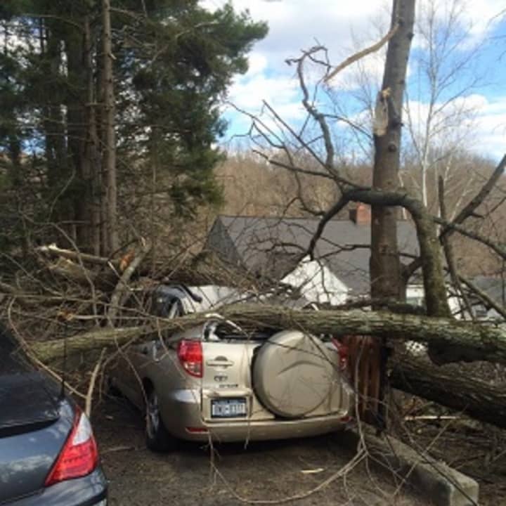 Among the many incidents the Croton-on-Hudson Fire Department responded to Monday was a report of a fallen tree on Old Post Road South. The tree took down electrical wires and damaged two parked cars, fire officials said.