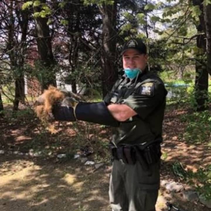 ECO Officer Kevin Wamsley with the squirrels.