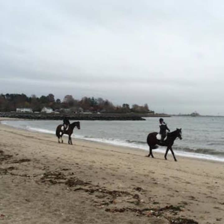Horses hit the beach in Fairfield on a gloomy Tuesday afternoon. 