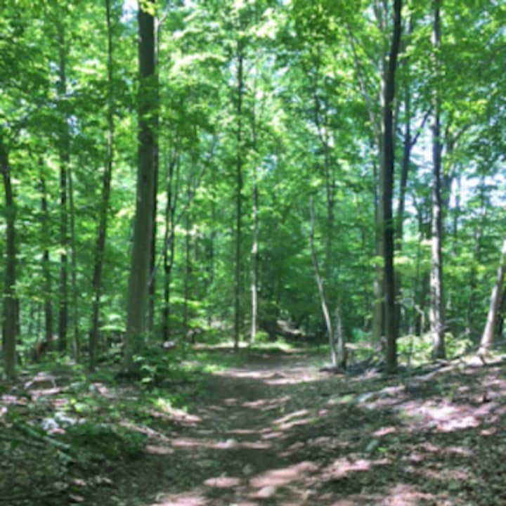 The Lewisboro Land Trust will host a hike of the Ramsey Hunt Sanctuary on June 12.