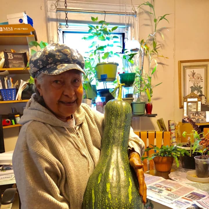 Emma Jackson of Bergenfield planted a seed she found outside. It grew to be a massive gourd.