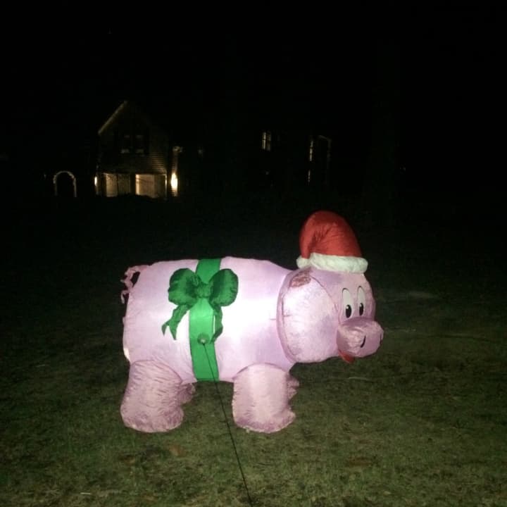Courtney Freyer&#x27;s decorated Christmas pig.