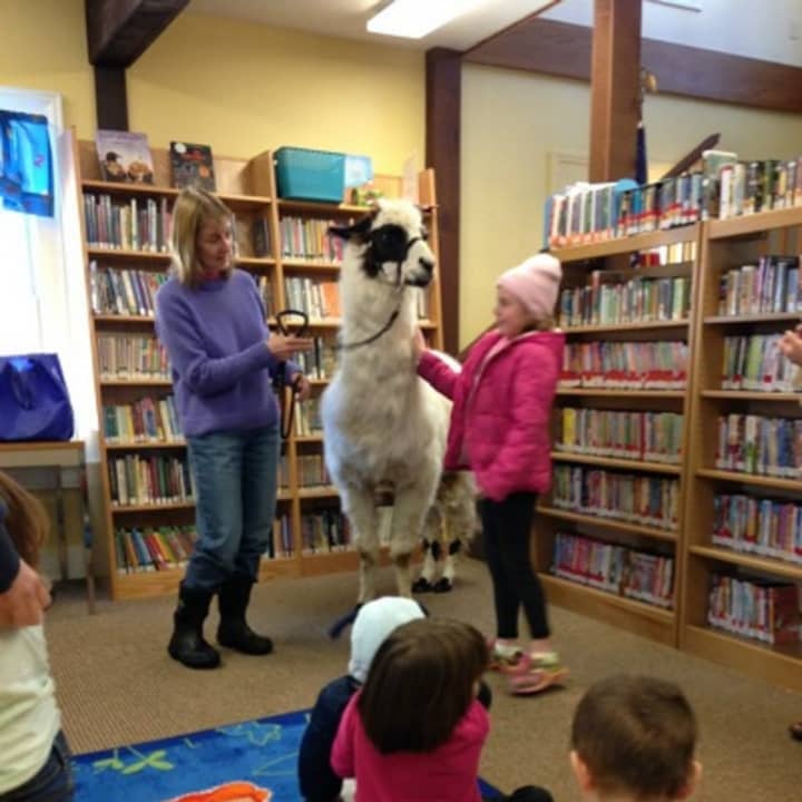 Come meet a real llama Saturday, Jan. 30, at the NorthEast-Millerton Library&#x27;s &quot;Hooked on Llamas&quot; event. The children&#x27;s book, &quot;Is Your Mama A Llama?&quot; will be read.