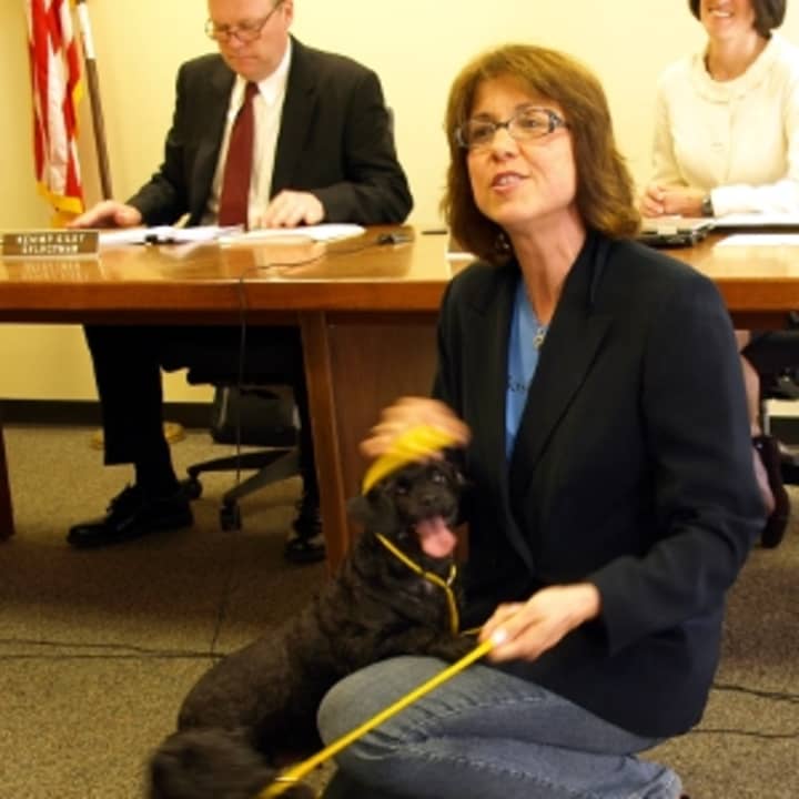Former Selectman Sherri Steeneck shows Vera and Moe to the crowd at the most recent Board of Selectmen meeting. Both are available now for adoption at the Fairfield Animal Shelter.