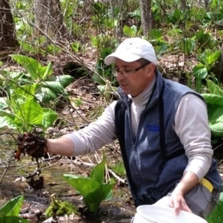 Anthony Zemba is the Director of Conservation Services for the Connecticut Audubon Society, which conducted a year-long study in Weston&#x27;s Trout Brook Valley Conservation Area in 2012.
