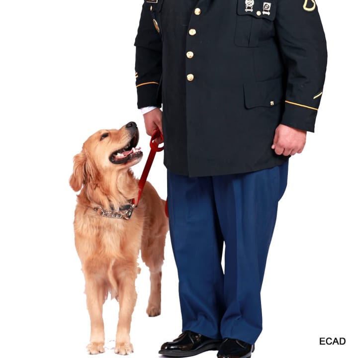 ECAD, a Dobbs Ferry organization that educates and pairs service dogs with veterans, autistic children and at-risk youth, has been named this year&#x27;s charitable partner of the Pleasantville Music Festival.