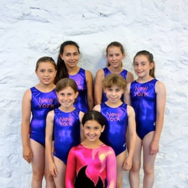 The girls from the International School of Gymnastics who competed at the U.S. Gymnastics Xcel Regional Competition.