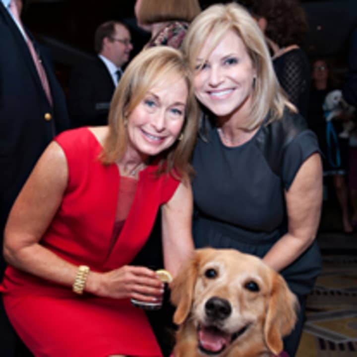 The SPCA of Westchester County will host a fundraiser gala in October.