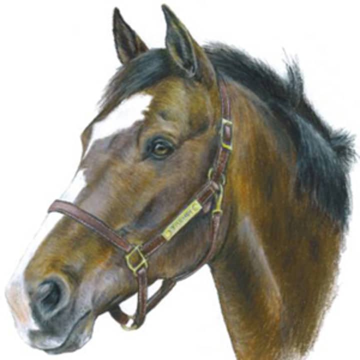 A horse portrait by Fran Megerdichian, one of the artists whose work is on view this month at Pace Universitys Choate Art Gallery.
