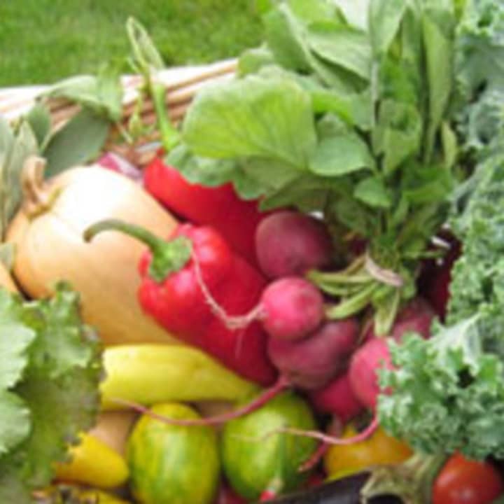 John F. Kennedy School garden donates produce to Carver Center Food Pantry.
