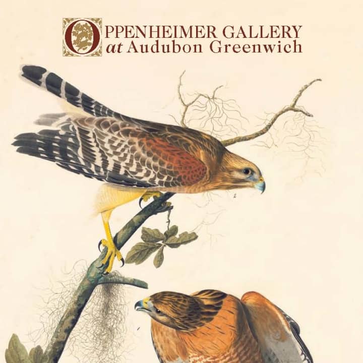 Greenwich Audubon holds new exhibit.