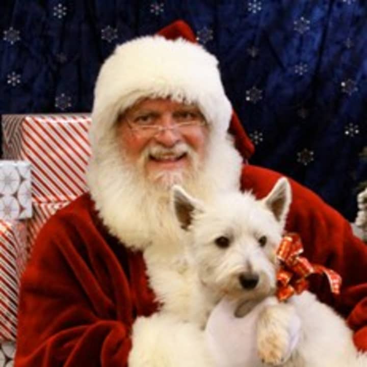 The Danbury Welfare Society and the Canine Company are teaming up for &quot;Santa Paws for DAWS&quot; on Saturday, Dec. 7 in Wilton.