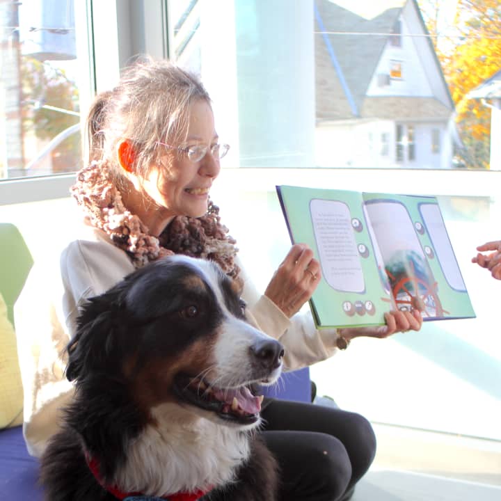 The Mamaroneck Library Board of Trustees helps the library organize programs, such as a therapy dog reading program called &quot;Paws A While To Read.&quot; 