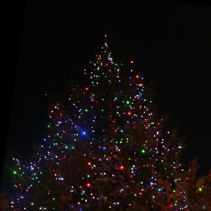 Redding will light a Christmas tree on the Town Green on Saturday. 