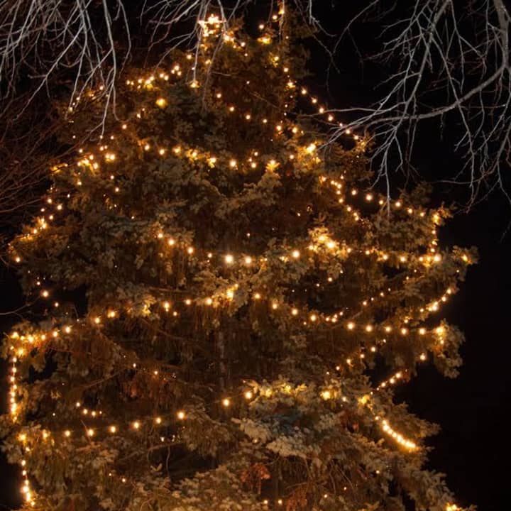 Eastchester lit the town Christmas tree at its annual ceremony.