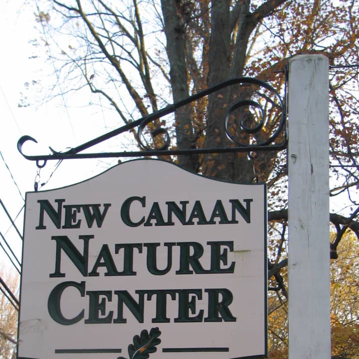 New Canaan Nature Center transforms into a Winter Wonderland on Dec. 14.