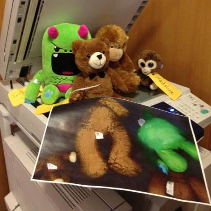 Stuffed animals from last year&#x27;s Stuffed Animal Sleepover get silly with the copy machine.