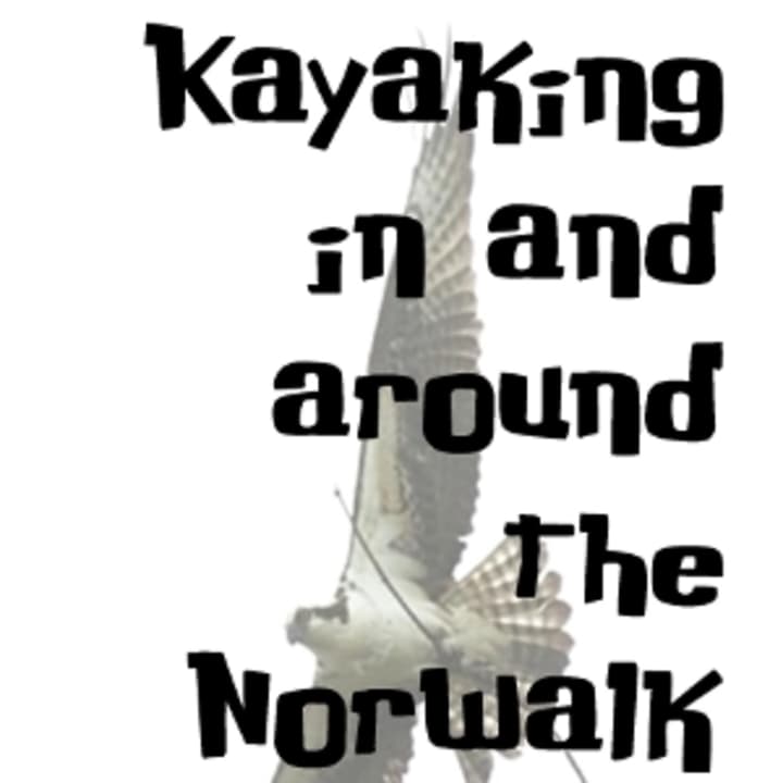 Norwalk resident David Park&#x27;s guidebook to kayaking is available for purchase at various locations. 