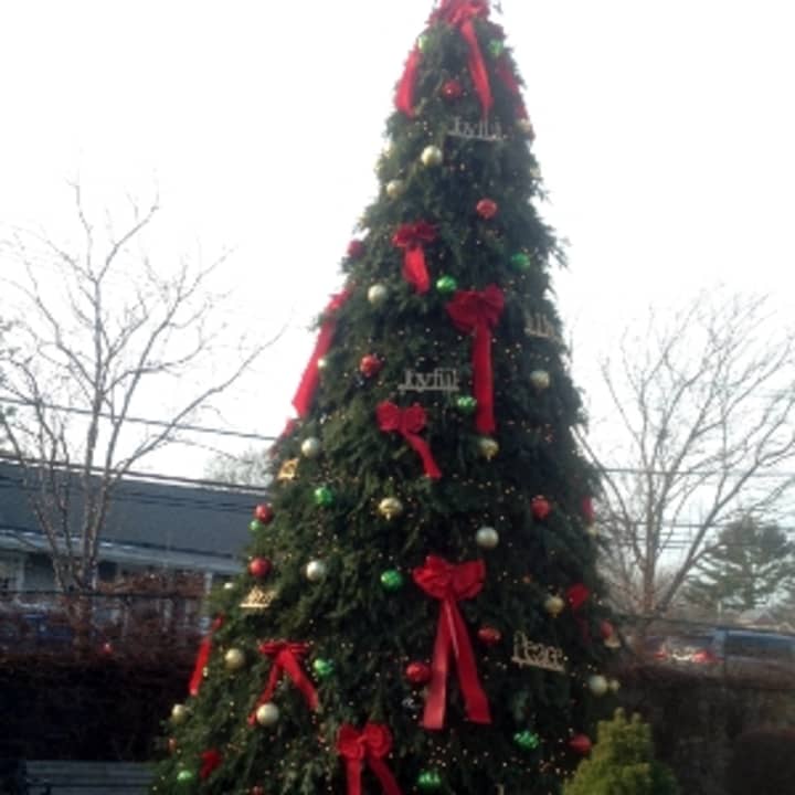 The tree in Zangrillo Park brings the Christmas spirit to downtown Darien.