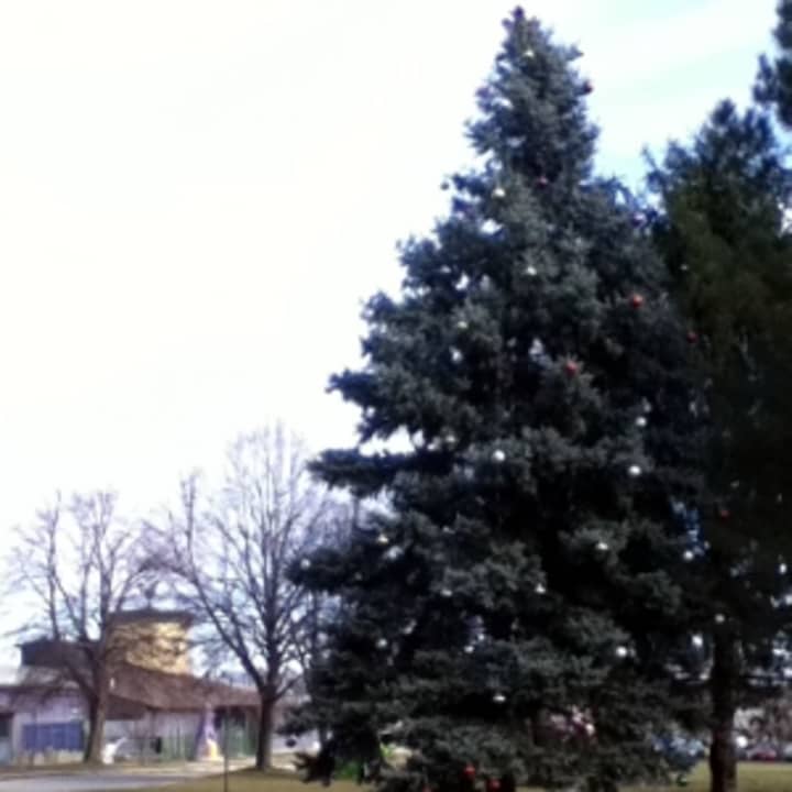 The Christmas Tree in Matthews Park brings the Christmas spirit to Norwalk.