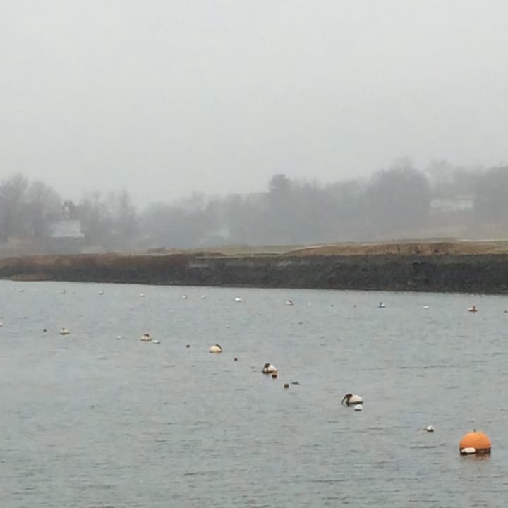 The mooring system in the Southport Harbor needed repairs, but work was delayed in late December due to weather conditions. 