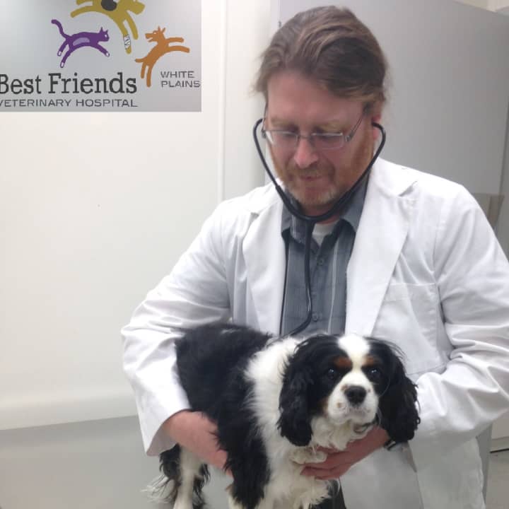 Best Friends Veterinary Hospital is offering free initial pet exams for new patients.