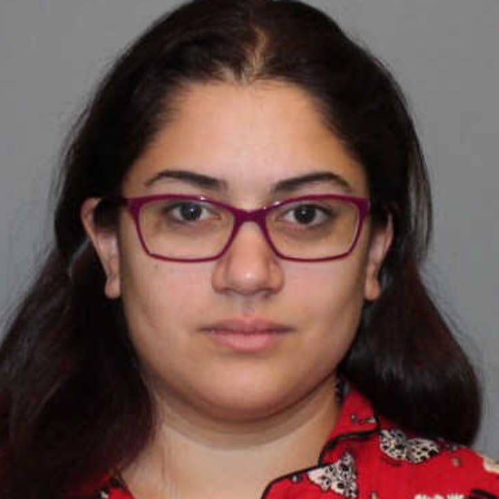 Anouk Govil, 23, of Norwalk was charged with third-degree criminal mischief Wednesday morning.
