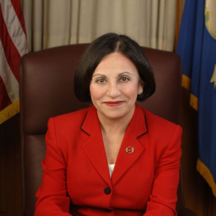 State Sen. Toni Boucher is a ranking member of the legislature&#x27;s Transportation Committee.