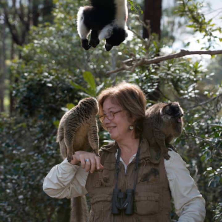 Dr. Patricia Wright will talk about her work with the endangered lemurs in a special presentation on Thursday, April 17, at The Maritime Aquarium at Norwalk.