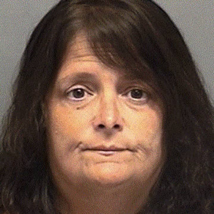 Cynthia Tanner, 52, of Darien was charged with embezzling thousands from an organization that assists veterans, according to police.