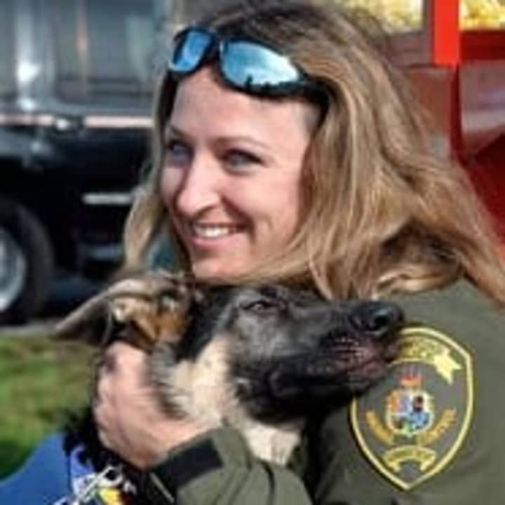 Laurie Hollywood, manager of Stamford&#x27;s Animal Control Center, has been fired after she allegedly adopted out dogs with a history of biting and aggression in violation of city policies.
