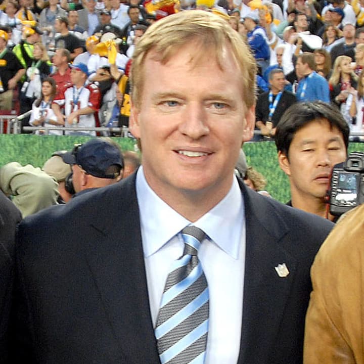 NFL Commissioner Roger Goodell has come under fire for his two-game suspension of Ray Rice. 