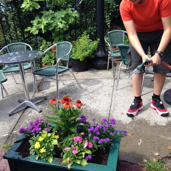 Students from Martin Luther King, Jr. High School in Hastings-on-Hudson plant flowers at the Station Cafe in the village.