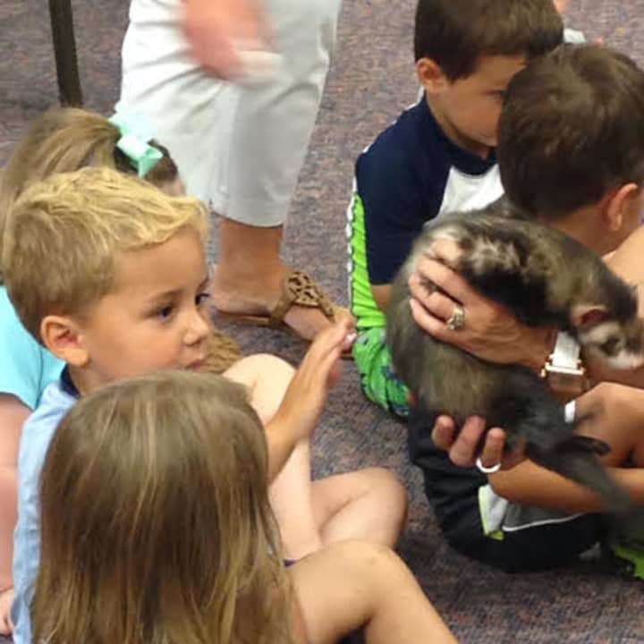 Scarlett the Hedgehog was among the recent visitors to Chapel School&#x27;s Care Bear Camp.