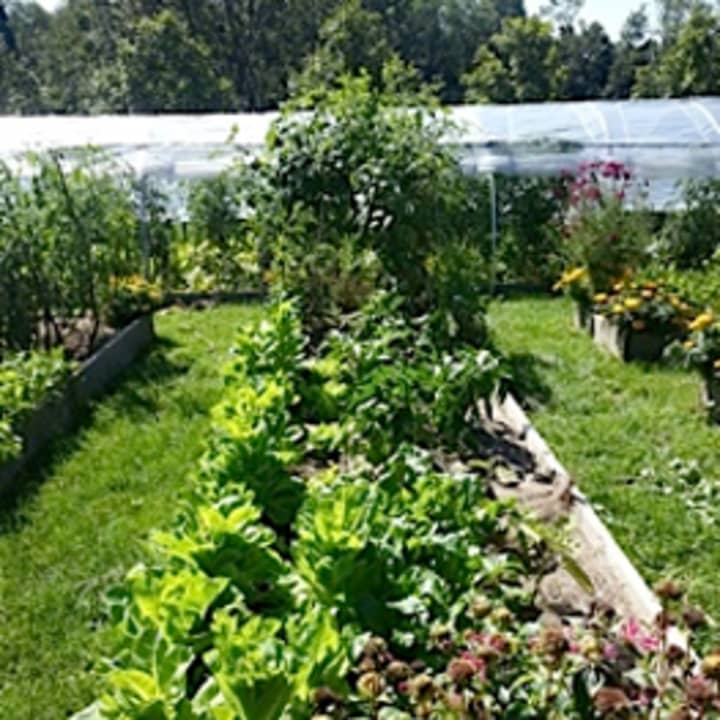 Wells Hill Farm in Weston is one of the three gardens open to the public Saturday, Aug. 9 for The Garden Conservancy&#x27;s Open Days Program.