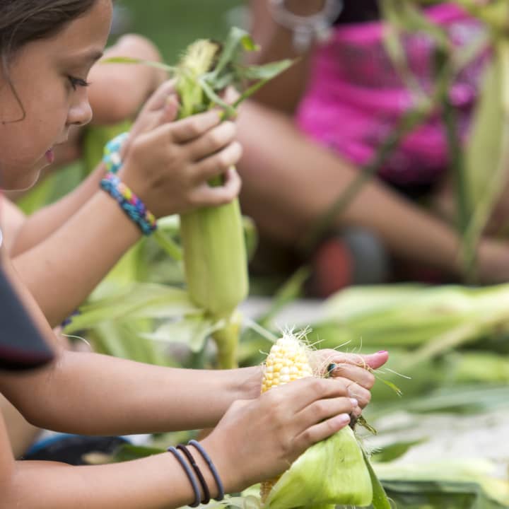 A corn-shucking contest will be part of the CORNucopia festival. 