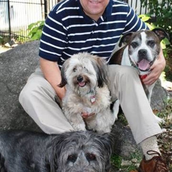 Westchester County Board of Legislators Vice Chairman Jim Maisano of New Rochelle has proposed legislation to ensure dogs are maintained in a safe and healthy environment.