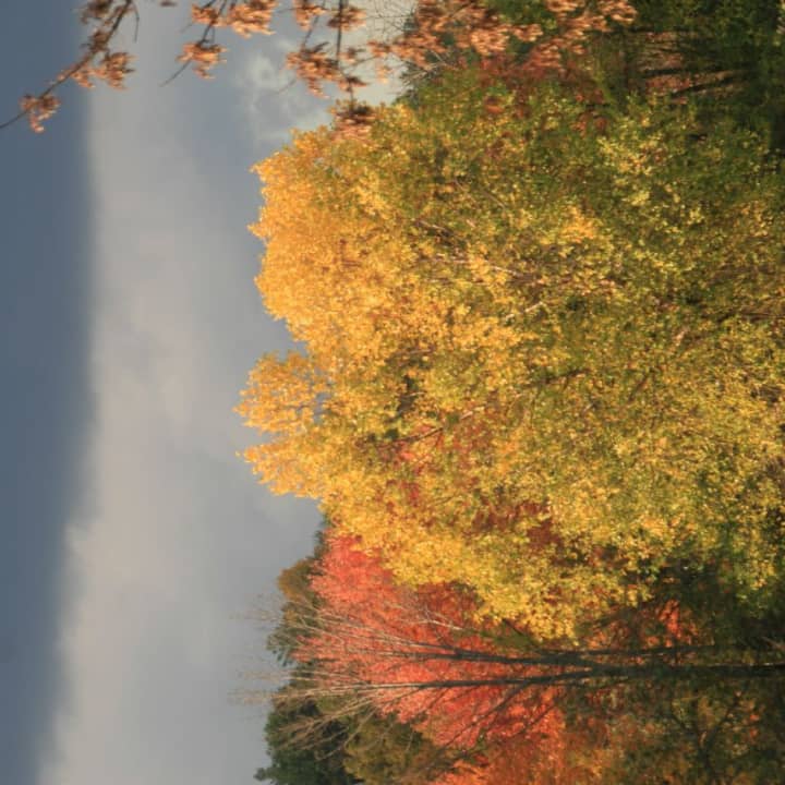 Peak foliage season will come to Westchester in mid-October. 