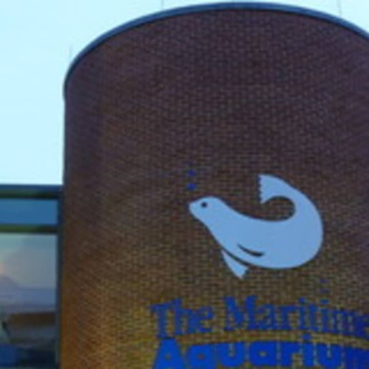 A sukkah will be set up at The Maritime Aquarium to celebrate Sukkot.
