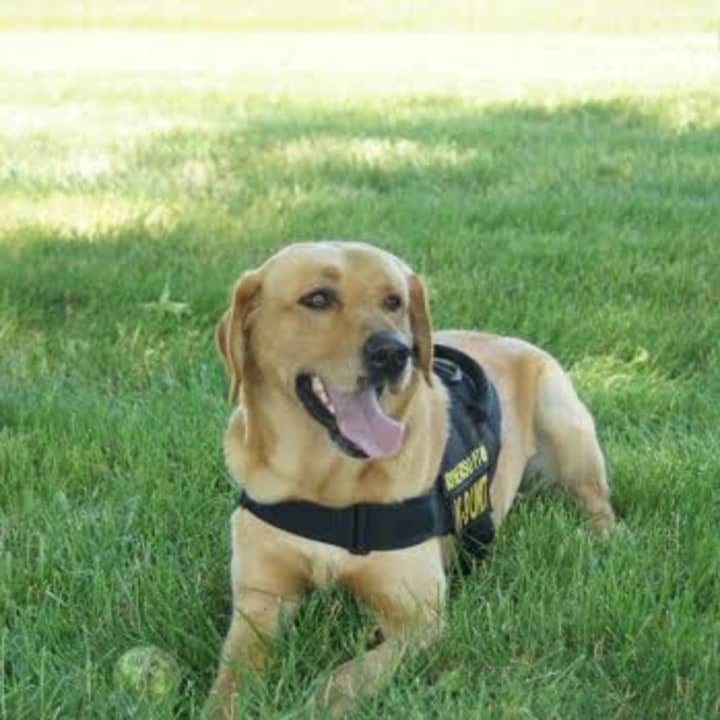&quot;Riverso,&quot; a 3-year-old bomb sniffing dog named in honor of a Stepinac alum who perished in 9/11, will be honored at a football ball game at Stepinac.