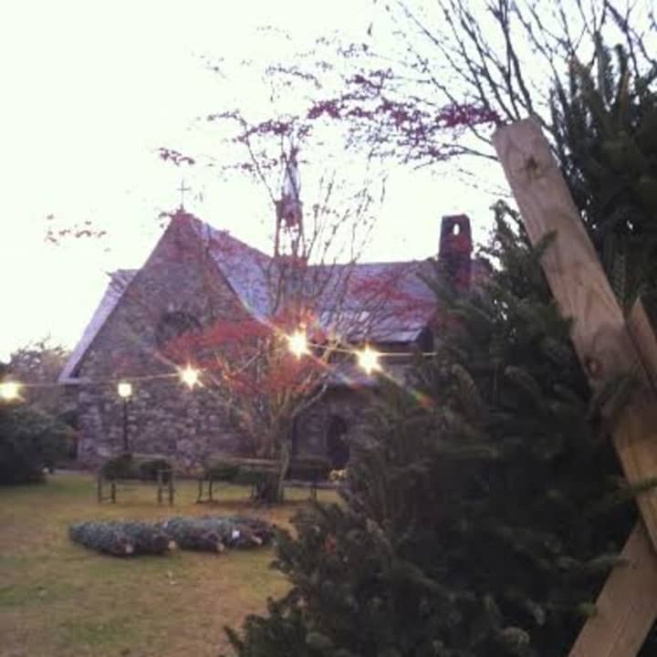 All Saints Church is holding its annual Christmas Tree Sale. 