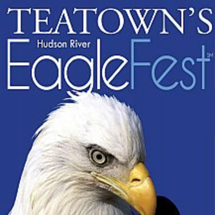 Teatowns Hudson River EagleFest will be held on Saturday, Feb. 7 at Croton Point Park (Eagle Headquarters) to celebrate the bald eagle&#x27;s return to the area.