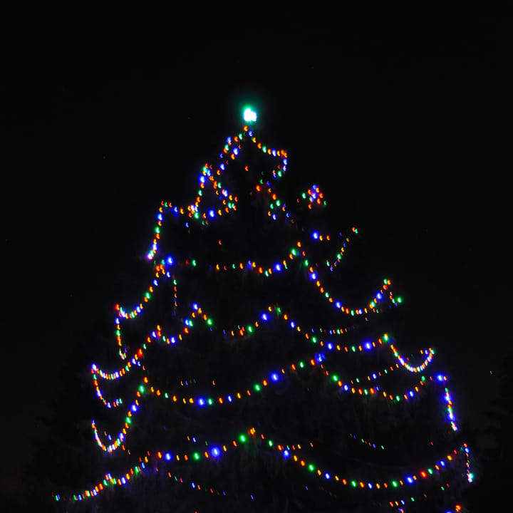 Christmas tree at Lasdon Park, Route 35 in Somers.