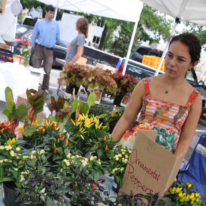NewYork-Presbyterian/Hudson Valley Hospital will be launching a shuttle service for its farmers markets this season.