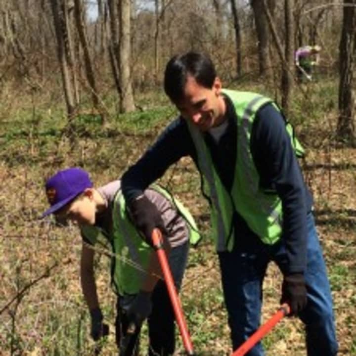 New Rochelle Mayor Noam Bramson with junior leader Cole Feuer trimming invasive weeds at Ward Acres Park.