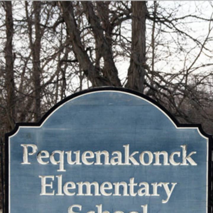 Pequenakonck Elementary School, which serves as a polling place.