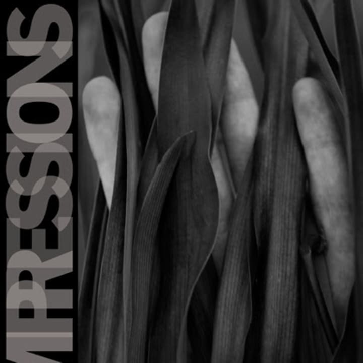 Mamaroneck High School students have launched Impressions, a photography and design magazine.